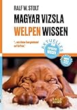  Magyar Vizsla WELPEN Wissen: ... wie kleine Energiebündel auf Koffein.\