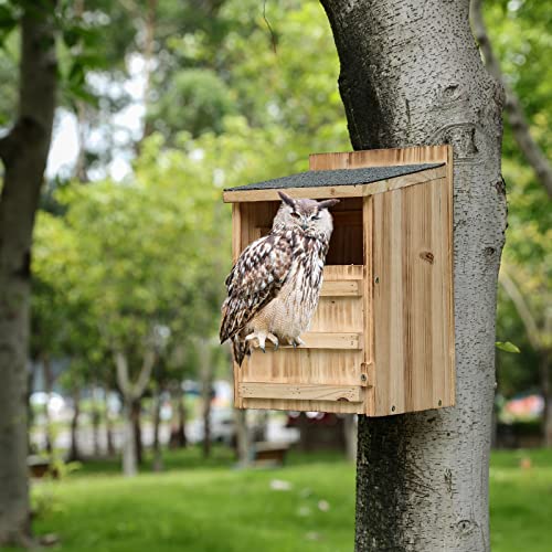 Cedar Owl Nesting Box Kit for Small Owls, Outdoor Wooden House by HHWODB - Image 7