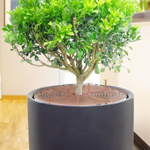 Miniatura 4 de Zocipro 4 Protectores De Tierra Para Macetas, Protectores De Tierra Para Macetas Cortables Con Estacas Profundas, Marco De Rejilla De Seguridad Para Niños, Mascotas, Jardín, 11.8 Pulgadas De Diámetro