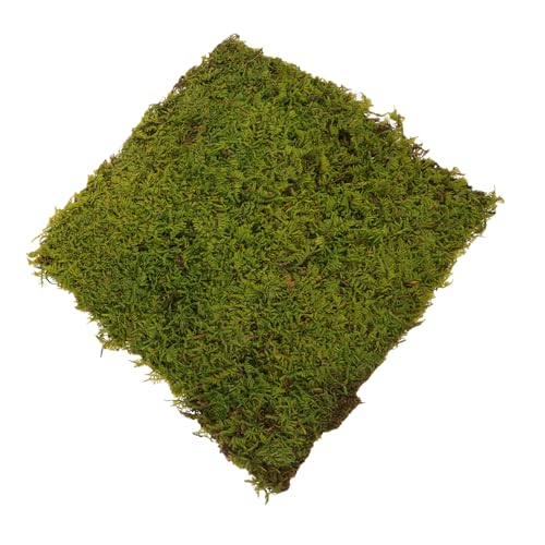 Gazon vert pour micro-paysage et tapis de sol de table à sable en mousse