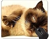 3. Proporciona un excelente seguimiento del mouse para una pelota o un mouse óptico;