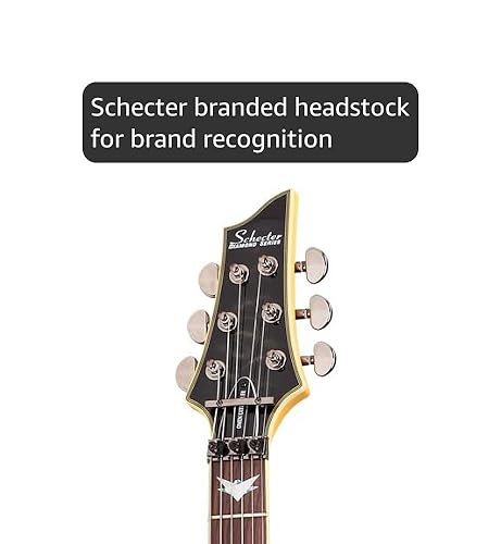 Amazon.com: Schecter Guitar Research Omen Extreme-6 FR Electric