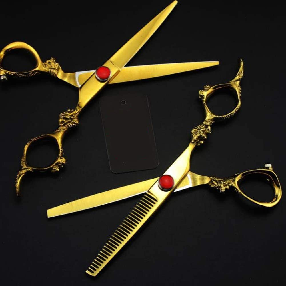 Forbici da Parrucchiere Professionali con Custodia in Pelle, Forbici da Taglio per Capelli Cesoie per Barbiere Regolazione Fine Vite di Tensione 100% Acciaio Inossidabile 6 Pollici