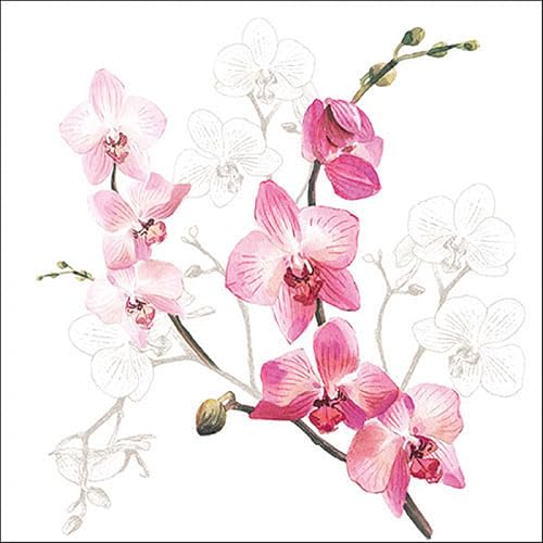 Ambiente - Serviettes en papier - Orchidée / orchidée 33 x 33 cm