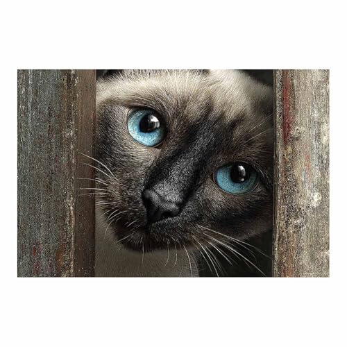 Chat agile art mural DunPei grand format pour sublimer la deco du salon