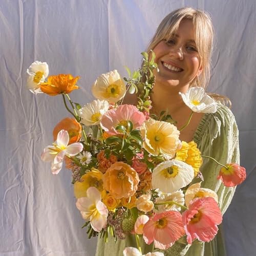 12. Resilience and Growth: How Wild Cosmo rebuilt not once but twice and is now thriving!