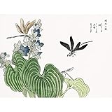 All items are dispatched in strong and sturdy packaging to ensure safe delivery.