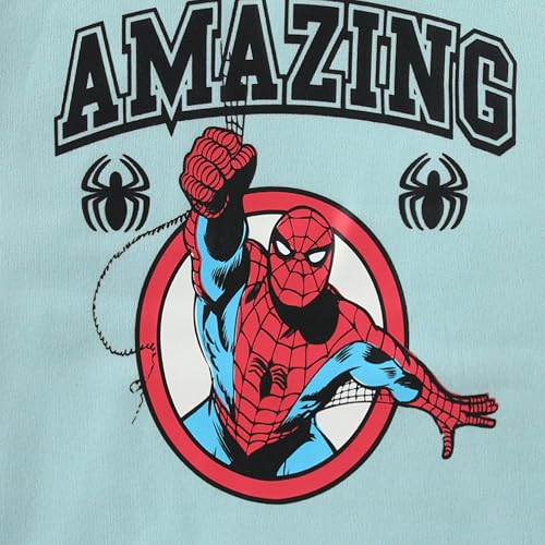 Image of Marvel Spider-Man Boys Sweatshirt and Pant Sets for Toddler to Big Kids