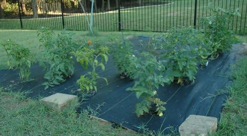 Miniatura 3 de WFGB_BO Manta de riego de jardín sin malas hierbas de 8 pies x 10 pies con manguera de cabecera