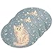 susiyo Cute Light Tabby Cat Scrub Sponges Multi-Use Scrubbing Sponge for Cleaning Kitchen Washing Dishes & Bathroom (Set of 3)