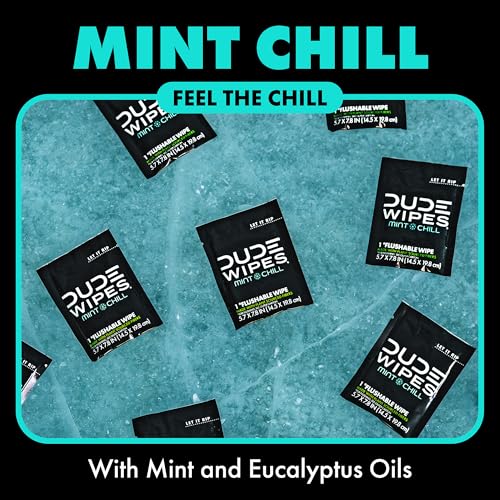 Image of DUDE Wipes On-The-Go Mint Chill Travel Wipes-Extra-Large Adult Flushable Wipes - Infused with Tea Tree Oil, Vitamin E, and Aloe - Septic and Sewer Safe,30 Count (Pack of 4)