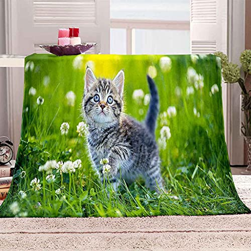 Couverture flanelle chat vert 150x200cm en microfibre douce - 2