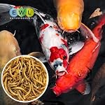 Mehlwürmer getrocknet 3L, Premium Insektensnack Vögel, Fische, Schildkröten, Nager, Igel, Reptilien, Vogelfutter Wildvögel Ganzjährig Eichhörnchen Futter Hamsterfutter Igelfutter (460g) – Bild 5