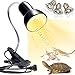 Reptile Heat Lamp, UVA UVB Reptile Light Basking Spot Lamp, Turtle Aquarium Tank Heating Lamps Holder & Switch Fixture for Aquatic Turtles Tortoise Snake Lizards Terrarium Amphibian with 3 Heat Bulbs