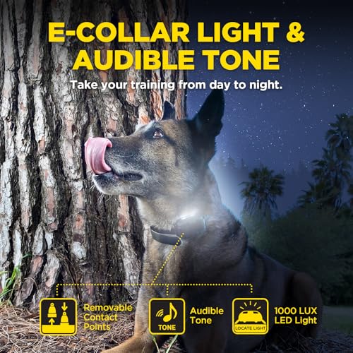 Image of Dogtra 280X 2-Dogs E-Collar with Remote [New Edition] 10 lbs+, 1 /2 Mile Range, LED Light, 100 Levels of Control for Stubborn Dogs, Waterproof, Boost for Quick Recall, Vibration, Safety Lock & Tone