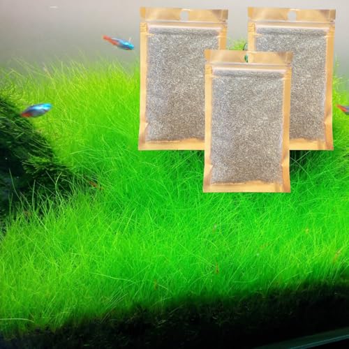 3 Pack Freshwater Aquarium Decor, Easy Growing Dwarf Carpet for Fish Tank/Terrarium, Natural Aquatic Plant Growth Material (Short Hair Grass)