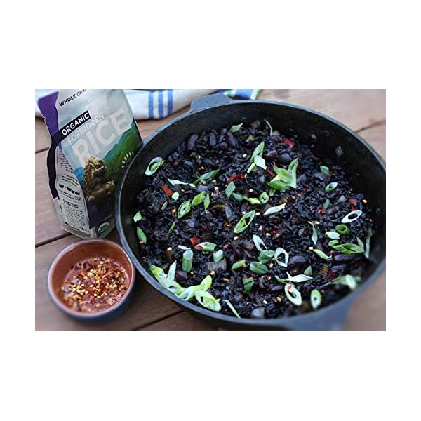 Lotus Foods Bulk Organic Forbidden Black Rice – Gluten-Free, Gourmet & Certified Organic Heirloom Whole Grain Rice, 0.94 pound (Pack of