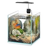 🐠 ROBUSTE ET FACILE À NETTOYER : Cet aquarium, avec son verre de 4 mm et son socle en bois, se distingue par sa stabilité et son style. Couvercle amovible pour un entretien facile.