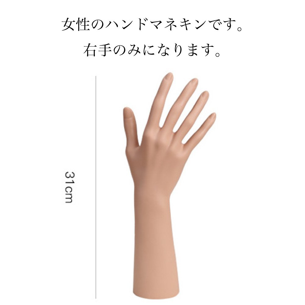 ハンドマネキン(右手) Amazon | h.effect (エイチエフェクト) ハンドマネキン 右手