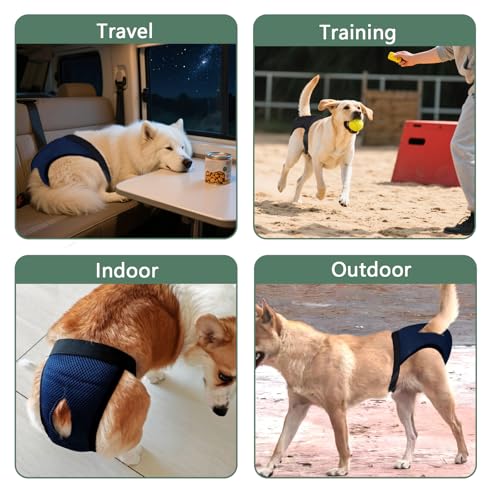 3er Pack Höschen für Hunde Läufigkeit mit 10 Damenbinden, Weich, Atmungsaktiv und Verstellbar Schutzhose Hündin, Wiederverwendbare Periodenhose Hund, Läufigkeitshose, M