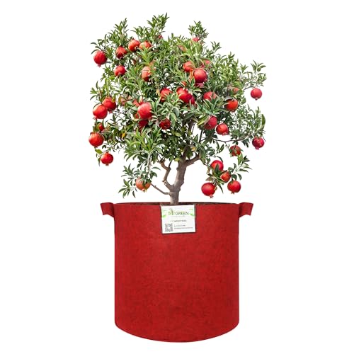 Image of Geo Fabric Grow Bags for Plants 15X15 Inch (Pack of 10) | 400 GSM Heavy Duty UV-Protected Round Maroon Colour Plant Bags for Terrace and Vegetable Gardening | Strong & Reusable|