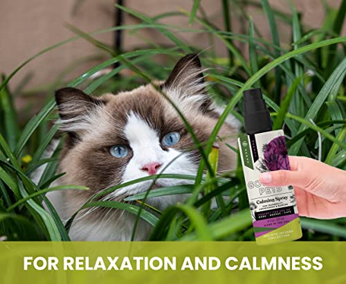 Gou Gou Pets Holistic Natural Derived Calming Pet Spray For Anxiety: Remove Dirt, Clean And Condition Your Pet With Natural And Clean Ingredients While Providing Stress Relief - Made In Usa - 8 Oz #TOP4
