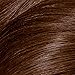 Clairol Nice'n Easy Perfect 10 Permanent Hair Dye, 6WN Light Chocolate Brown Hair Color, Pack of 1