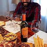 Campo Viejo Rioja Reserva Red Wine, 75cl (Spanish) - Image 10