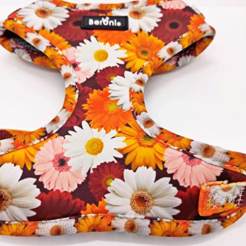 Hundegeschirr kleine Hunde Softgeschirr Brustgeschirr verstellbar Blumen floral Hundegeschirr Neopren gepolstert Geschirr Hund rot bunt (XS: Hals 29-36 cm, Brust 36-48 cm)