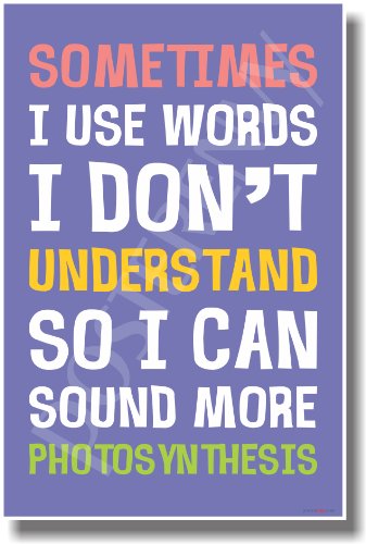 Sometimes I Like to Use Big Words - NEW Humor Poster