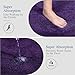 Walensee Non Slip Bath Mat for Bathroom (16 x 24, Dark Purple) Water Absorbent Soft Microfiber Shaggy, Machine Washable Thick Plush Bath Rugs for Shower