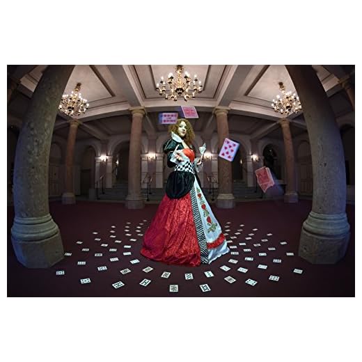 Nikon 8-15mm Fisheye Zoom Lens