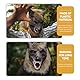 Warmhm Halloween Werwolf Kostüm Set, Horror Werwolf Kopfmaske und Klauenhandschuhe Wolf Cosplay Maske Anziehkostüm für Halloween Party