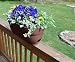 Emsco Group Bloomers Railing Planter with Drainage Holes – 24" Weatherproof Resin Planter – Brown, Plastic