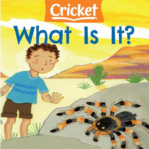 What Is It? by Amy Tao episode artwork