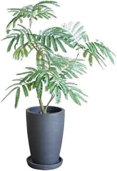 51OYukff2FL._AC_UF350,