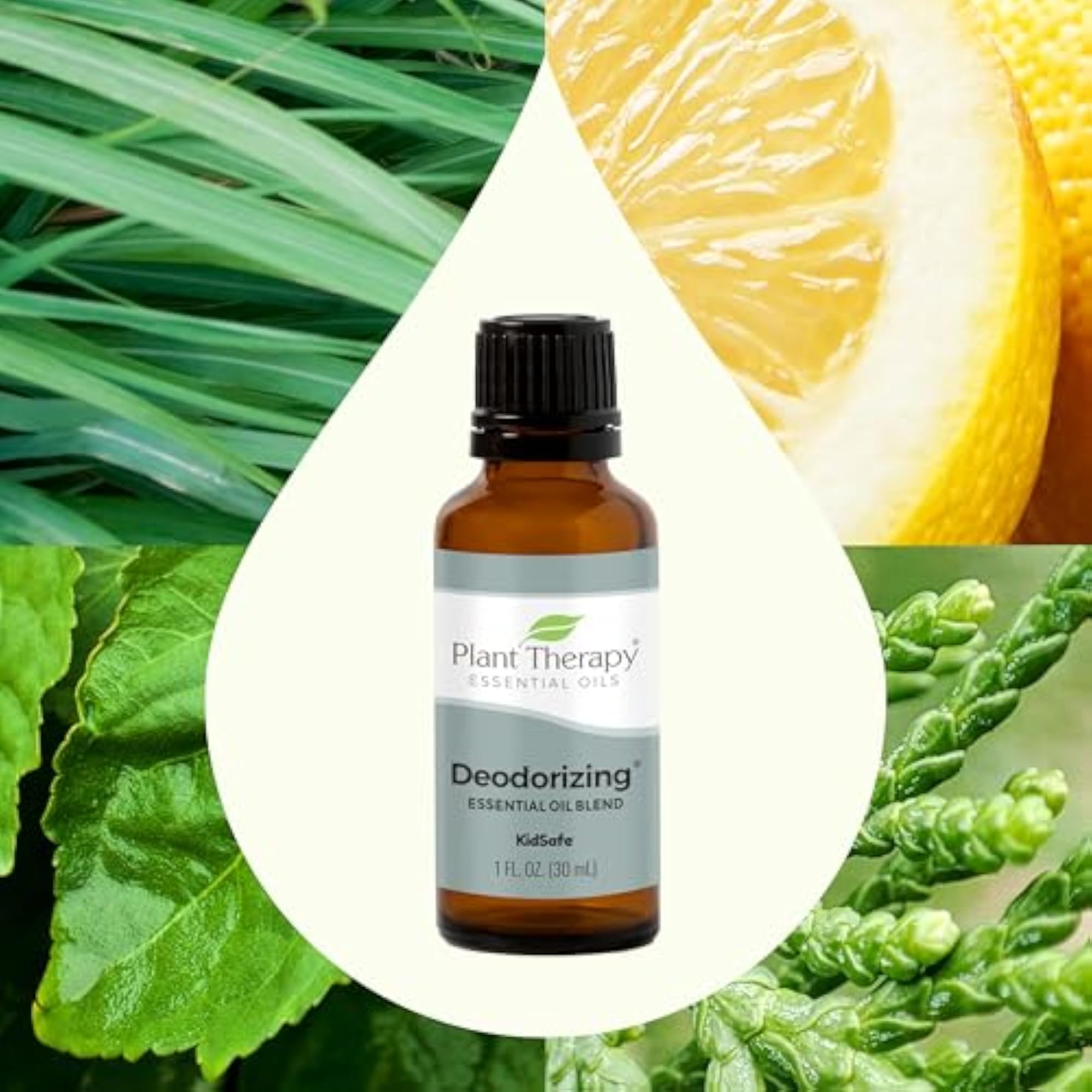 Plant Therapy Deodorizing Synergy Essential Oil, 30 mL
