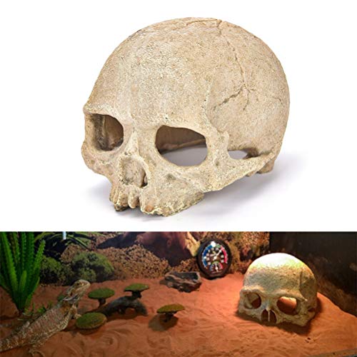 RunXF Skull Rock Cave Decor