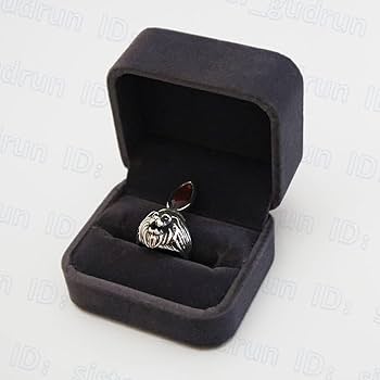 Amazon | 中古 レオリング シルバーVer. レオ 獅子の瞳 プロップ