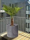 Emanhu Thermo Topfschutz Winterschutz Pflanzenschutz Frostschutz Kälteschutz für Pflanzen (50 x 70 cm)