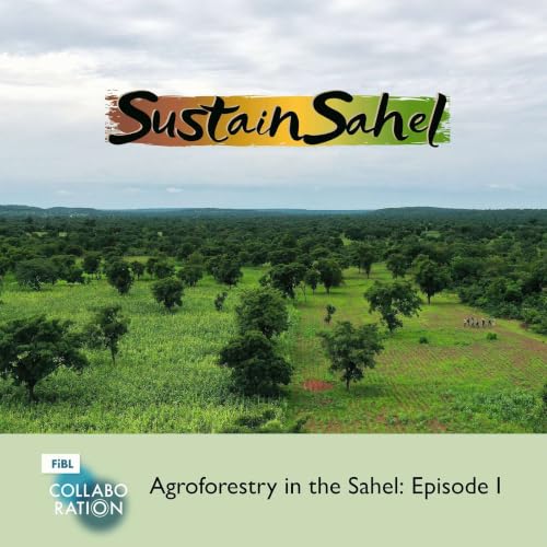 Re-greening the Sahel: How shrubs and science can transform food security
