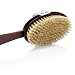 Dry Brushing Body Brush for Exfoliation - 100% Natural Boar Bristles & Long Detachable Handle - Revitalizes and Rejuvenates Health and Beauty. Storage Bag & FREE Skin Oil Sample Spa Gift