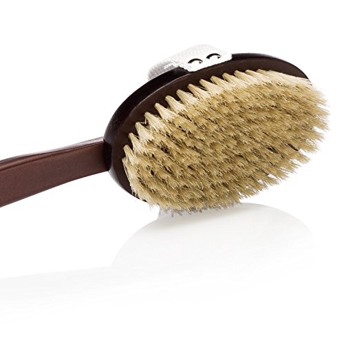 Deluxe Natural Dry Body Brush for Overall Skin Wellness. Restore Youthful Glow. Removable Long Handle, Storage Bag & FREE B.O.N Nourishing Skin Oil
