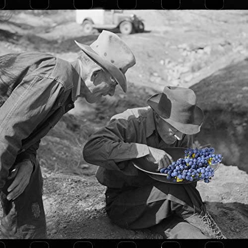 Episode 22 - Lodi & Paso Robles