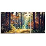 Autumn Forest Large Stretched Canvas Wall Art For Living Room Bedroom Home Decoration, Mordern Morni