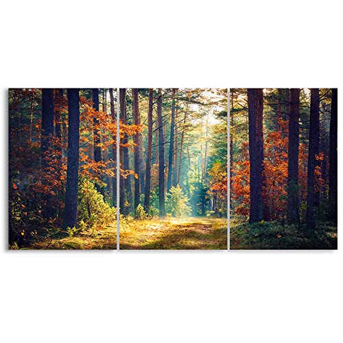 Autumn Forest Large Stretched Canvas Wall Art For Living Room Bedroom Home Decoration, Mordern Morning Sunlight Wood Print Picture Painting Decor Giclee Artwork, Gallery Wrapped,Inner Frame (24X36X3) #TOP13