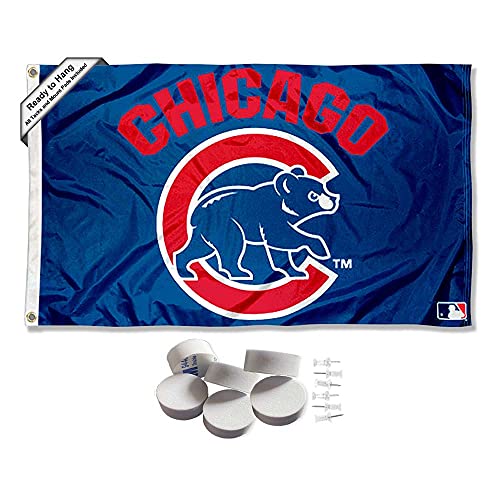Tenture ours de Chicago et pads muraux pour décorer un salon de sport