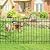 FOREHOGAR Metal Garden Fence 36 in H x 12 ft L, 6 Panels + 7 Stakes Border Dog Fence Panels Animal Barrier, No Dig Garden Fencing for Yard Patio Flower Bed Lawn Outdoor, Arch Black