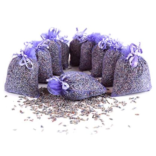 10 bolsitas / natural lavanda seca con lavanda francesa - Total 100g Flores de lavanda - de Quertee