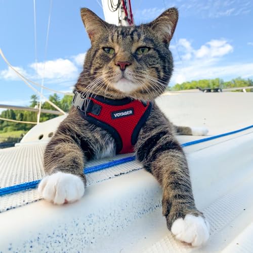 Image of Voyager Escape-Proof Step-in Lock Cat Harness & 5ft Neoprene-Handle Leash Set All-Weather Mesh with Reflective Stitching for Small to Large Cats by Best Pet Supplies, Red /Black Trim, XS